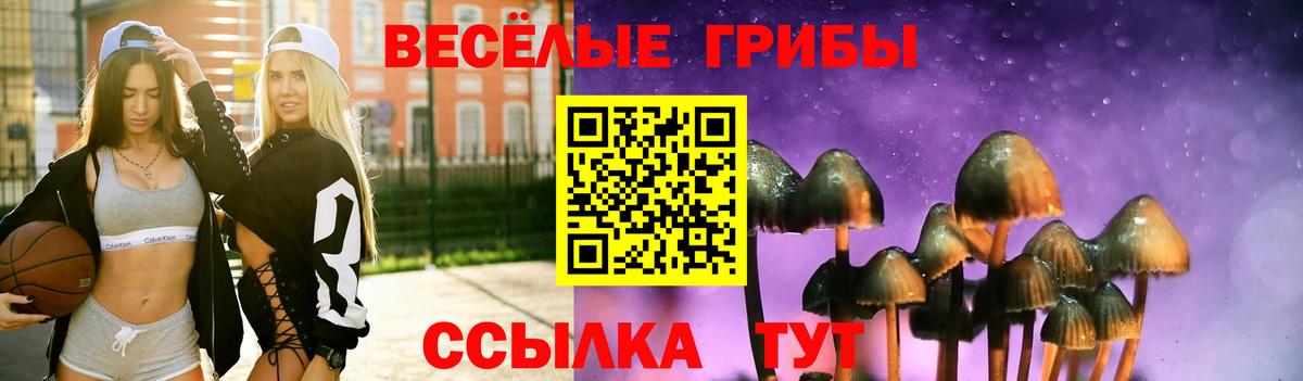 Псилоцибиновые грибы мицелий Ирбит