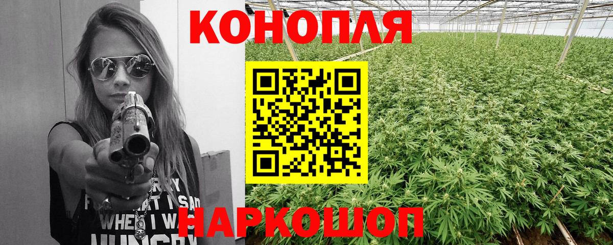 Бошки Шишки OG Kush  Вход с VPN  МАРИХУАНА семена  Канабис план  Бошки Шишки семена  Ирбит 